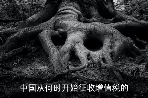 什么時(shí)候征收增值稅，批發(fā)零售業(yè)增值稅征收率什么時(shí)間開(kāi)始為3