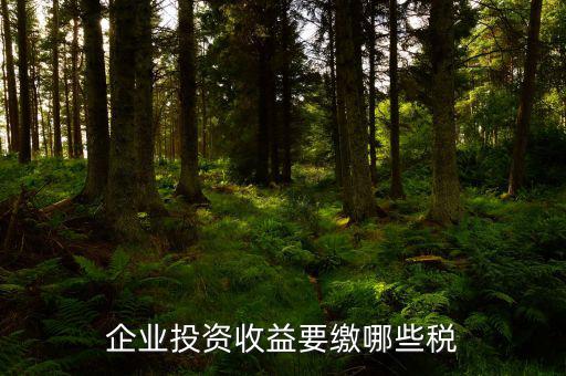 公司盈利要交什么稅，企業(yè)投資收益要繳哪些稅
