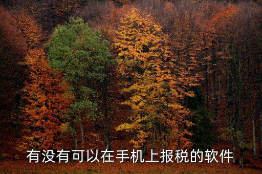 手機(jī)辦稅是什么，賣手機(jī)怎樣納稅