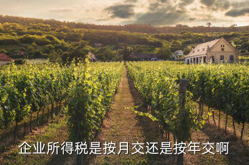 公司所得稅什么時(shí)候交，企業(yè)所得稅什么時(shí)候繳納