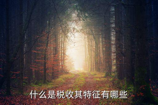 稅收的特點(diǎn)是什么意思，稅收的實(shí)質(zhì)和特征