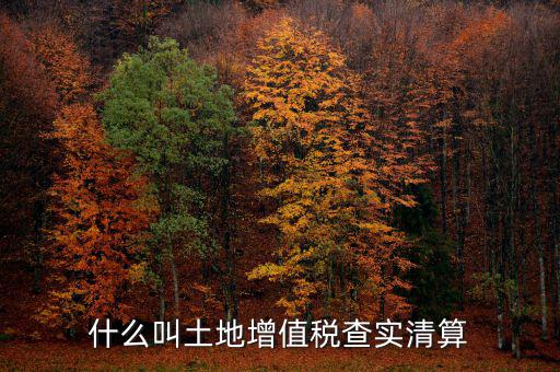 土地增值稅為什么清算，土地增值稅清算