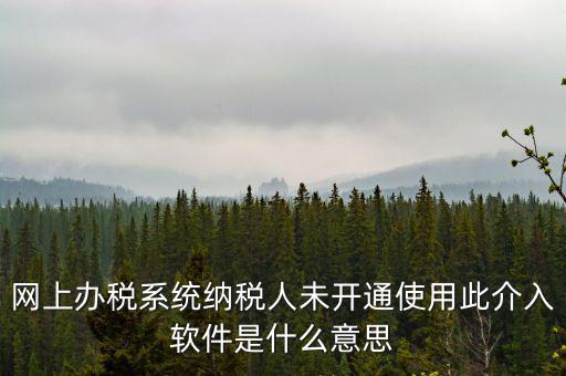網(wǎng)上辦稅系統(tǒng)納稅人未開(kāi)通使用此介入軟件是什么意思