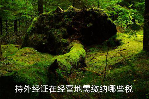 外經(jīng)證要交什么稅，持外經(jīng)證在經(jīng)營(yíng)地需繳納哪些稅