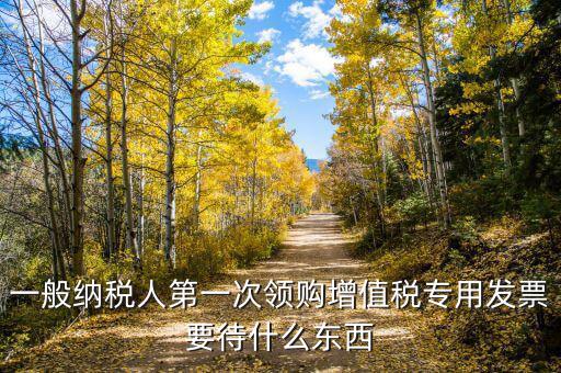 一般納稅人第一次領(lǐng)購(gòu)增值稅專用發(fā)票要待什么東西