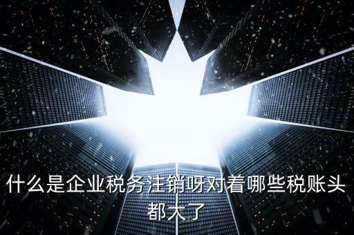 什么是錯峰預(yù)約辦稅，網(wǎng)上辦稅系統(tǒng)納稅人未開通使用此介入軟件是什么意思