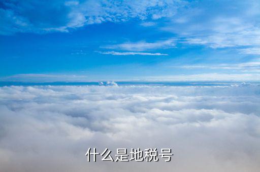 稅務(wù)賬號(hào)是什么，什么是地稅號(hào)