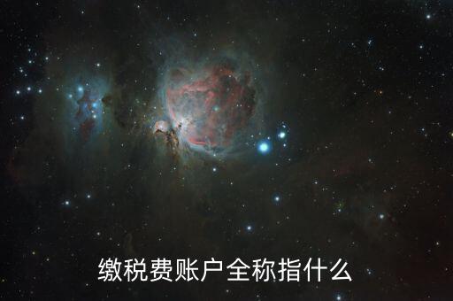 納稅賬戶是什么，我們公司申請(qǐng)的一個(gè)專門用來繳納稅款的賬戶是什么賬戶