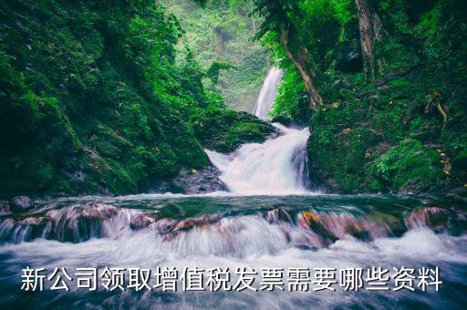 領(lǐng)發(fā)票需要什么，去稅務(wù)局領(lǐng)發(fā)票需要帶什么資料去