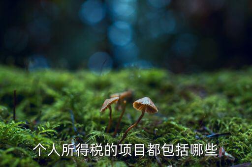 所得項目填什么，個人所得稅必須要填寫六項嗎我沒一項符合