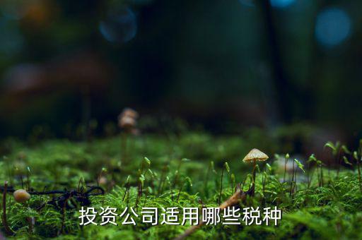 投資款需要交什么稅，投資公司適用哪些稅種
