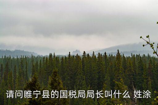 請(qǐng)問睢寧縣的國稅局局長叫什么 姓涂