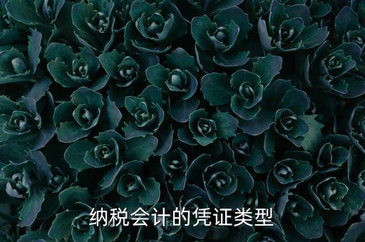 應(yīng)納稅憑證種類是什么，憑證種類999是什么