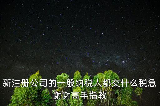 新注冊(cè)公司是什么納稅人，新辦企業(yè)是一般納稅人還是小規(guī)模納稅人