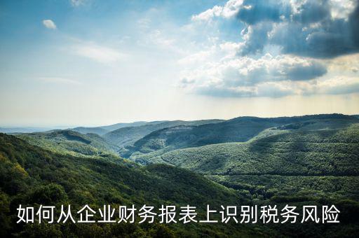 稅務(wù)風(fēng)險核查是什么意思，虛開增值稅專用發(fā)票核查 什么意思