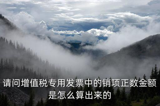 銷項正數(shù)金額是什么意思，銷項正數(shù)金額銷項負廢金額銷項負數(shù)金額是什么意