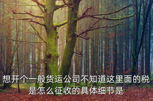 想開個一般貨運公司不知道這里面的稅是怎么征收的具體細(xì)節(jié)是