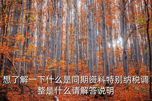 什么是特別納稅調整監(jiān)控管理階段，想了解一下什么是同期資料特別納稅調整是什么請解答說明