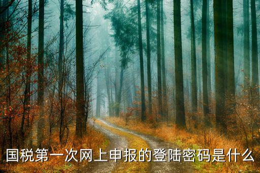 廣州國稅官網(wǎng)登錄密碼是什么，稅務(wù)局網(wǎng)站的登入賬戶初始密碼是什么