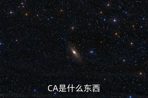 ca中心是什么，CA是什么東西