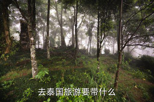 稅務(wù)局的信仰是什么，道德模范有哪些