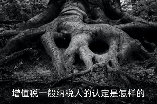 一般納稅人認證是什么，一般納稅人資格證什么