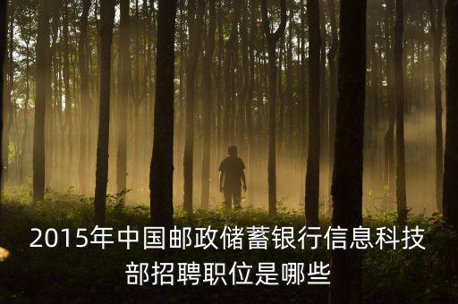 郵政2015主要工作為11333是什么，關(guān)于2015年的郵政郵遞員工作的問題