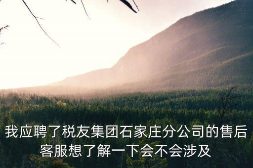 我應(yīng)聘了稅友集團石家莊分公司的售后客服想了解一下會不會涉及