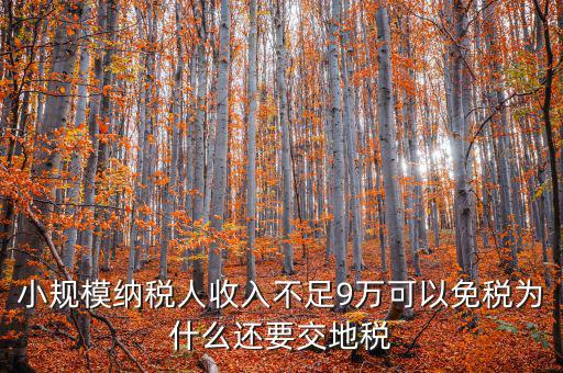 為什么納地稅，為什么要規(guī)定納稅地點