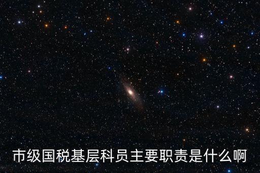 基層國(guó)稅辦公室做什么，請(qǐng)問國(guó)稅局基層分局科員縣域主要負(fù)責(zé)什么工作