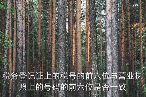 稅號前六位代表什么，納稅識別號前六位數(shù)為140111是什么意思