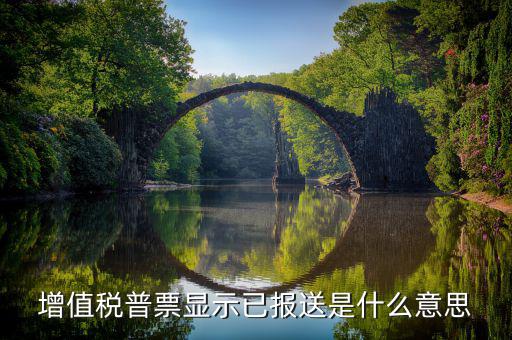 什么是報送報告，什么是報送審計
