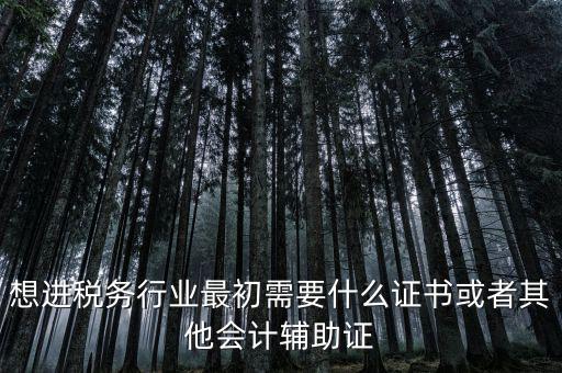 進(jìn)稅務(wù)局需要什么證件，想進(jìn)稅務(wù)行業(yè)最初需要什么證書