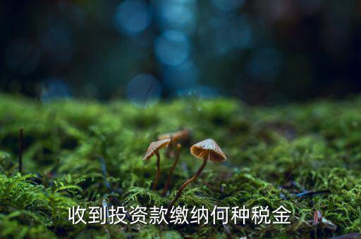 銷售投資品 納什么稅，收到投資款繳納何種稅金