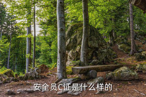 數(shù)字人事是什么樣的，數(shù)字人事是什么