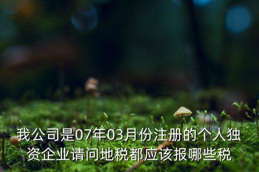 我公司是07年03月份注冊的個人獨(dú)資企業(yè)請問地稅都應(yīng)該報(bào)哪些稅