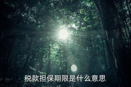 納稅擔(dān)保人什么意思，稅款擔(dān)保期限是什么意思