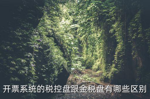 金稅盤和稅控盤什么區(qū)別，金稅盤和稅控盤開出的發(fā)票有什么區(qū)別