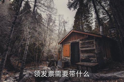 欠稅領發(fā)票需什么手，去稅務局領發(fā)票需要帶什么