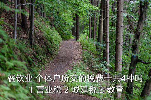 個(gè)體餐飲業(yè)交什么稅，餐飲業(yè) 個(gè)體戶所交的稅費(fèi)一共4種嗎 1 營業(yè)稅 2 城建稅 3 教育