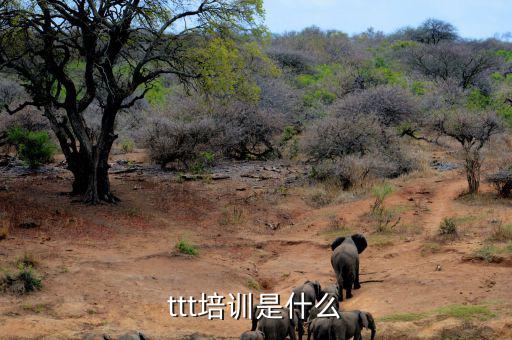 納稅人學(xué)堂培訓(xùn)干什么，去各種培訓(xùn)班做老師有前途么