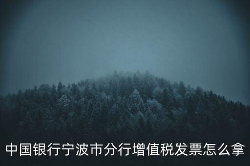 寧波國(guó)稅過發(fā)票要帶什么，浙江地區(qū)公司首次拿發(fā)票去國(guó)稅局需要帶什么證件
