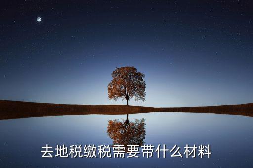 地稅局定稅要拿什么，去地稅局報(bào)稅需要拿什么東西