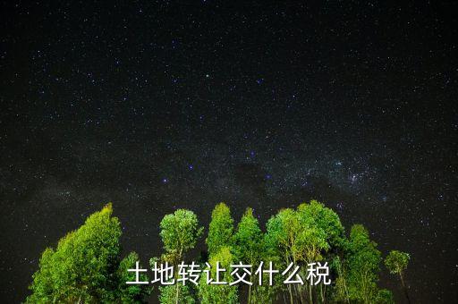 出讓土地交什么稅，土地出讓要交什么稅