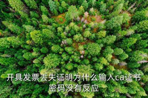 開具發(fā)票丟失證明為什么輸入ca證書密碼沒有反應