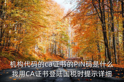 國稅ca證書登錄 密碼是什么，國稅第一次網(wǎng)上申報(bào)的登陸密碼是什么