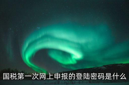 杭州國(guó)稅申報(bào)密碼是什么意思，國(guó)稅第一次網(wǎng)上申報(bào)的登陸密碼是什么