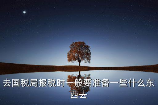 去國(guó)稅局都是帶什么東西，去國(guó)稅定稅要帶哪些東西啊我暈倒了以前從來(lái)沒定過