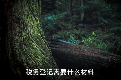 稅務(wù)辦理需要什么東西，辦理稅務(wù)登記證都需要帶什么東西