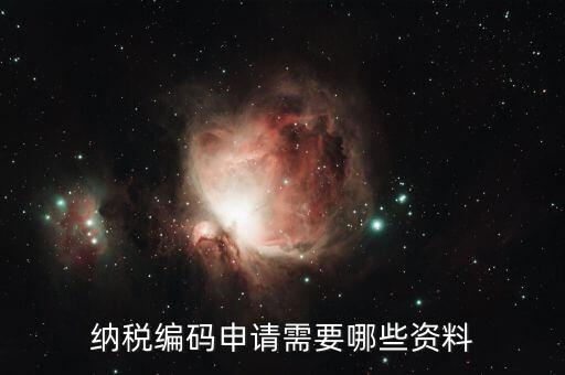 預(yù)約繳稅號需提供什么資料，納稅編碼申請需要哪些資料